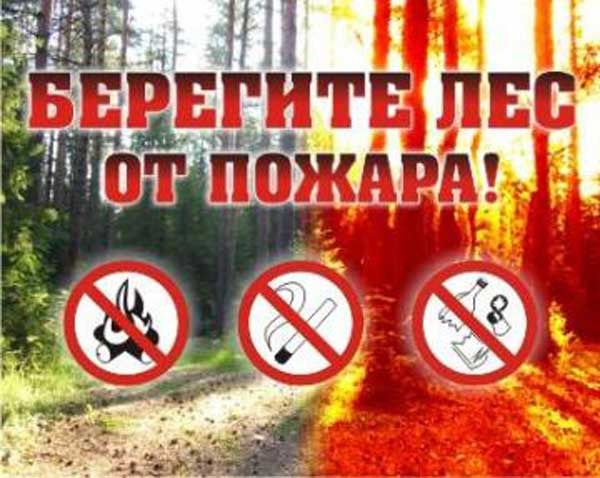 В лесах Прикамья будет действовать особый противопожарный ре…